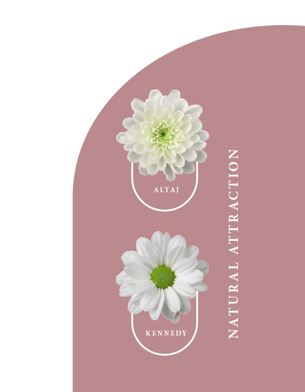 bloemen_mob